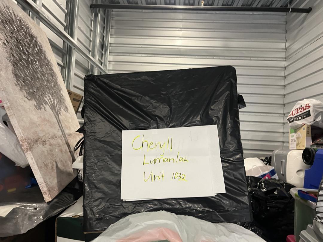 Storage Unit Auction in Henderson, NV at Morningstar of Horizon Ridge